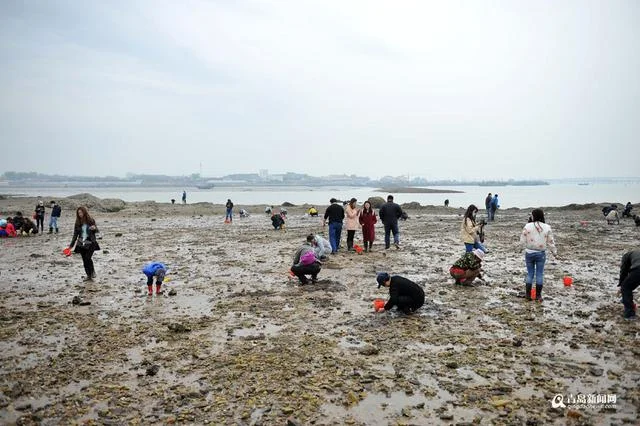 赶海