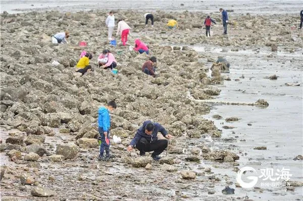 赶海